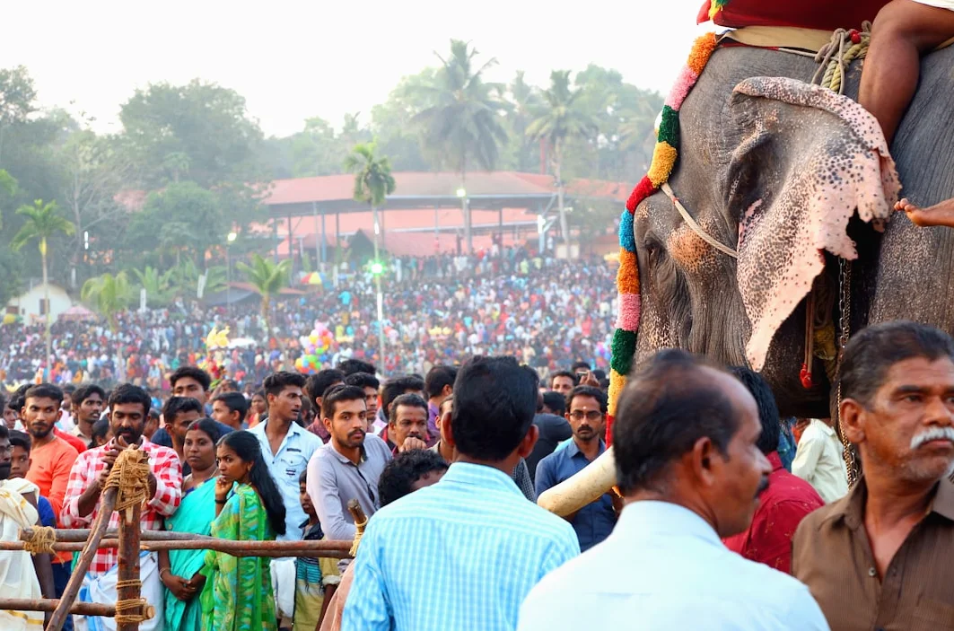 ケララ州議会選挙：CPI(M)が候補者リストを発表、首席長官ヴィジャヤンがダルマダム選挙区で立候補