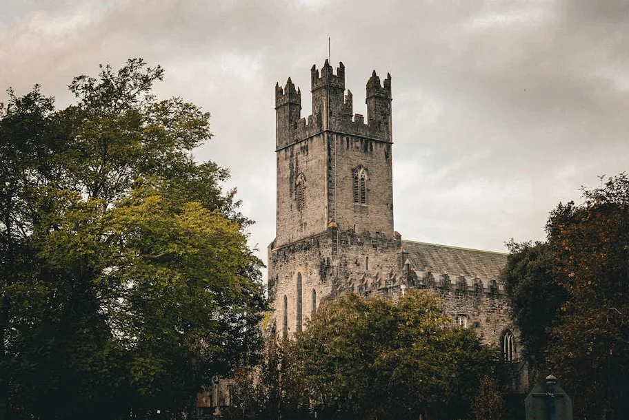 Limerick-Bezirk wird zu ‘Rattenweg’ für überhastete Fahrer