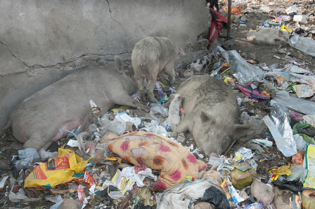 Minor Among 3 Killed as Dumper Truck Rams Into Motorcycle in UP