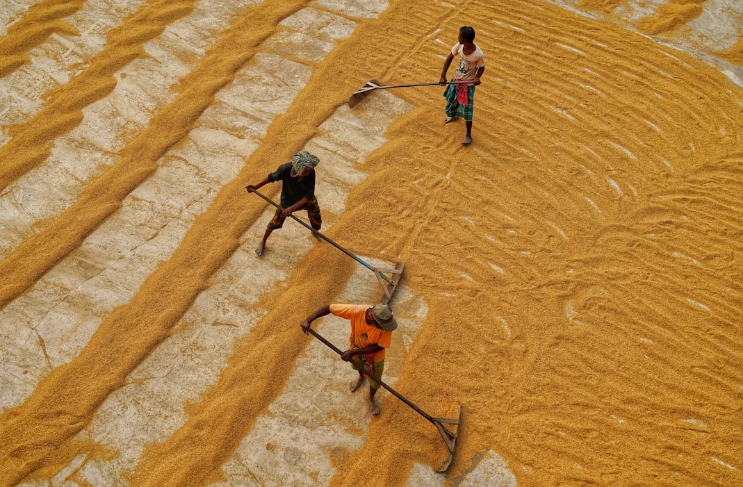 中東情勢にもかかわらずインドのバスマティ米輸出は安定