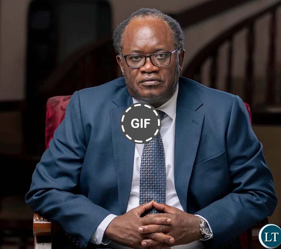 Zambia : Mundubile Must Wake Up and Look for Other Opportunities, Says Mweetwa