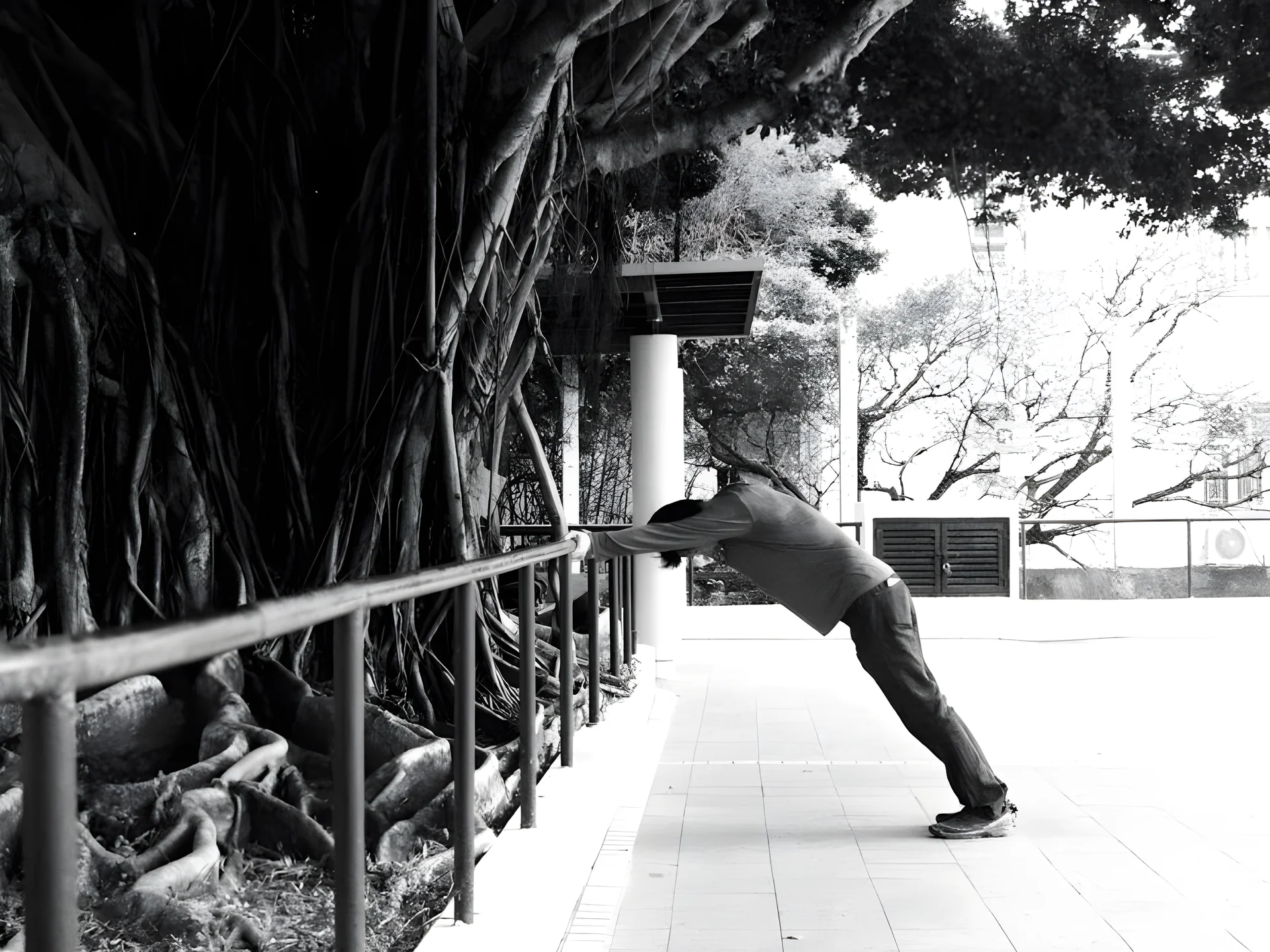 바냐나 그룹 싱가포르, 커넥션스 리트레트 출시