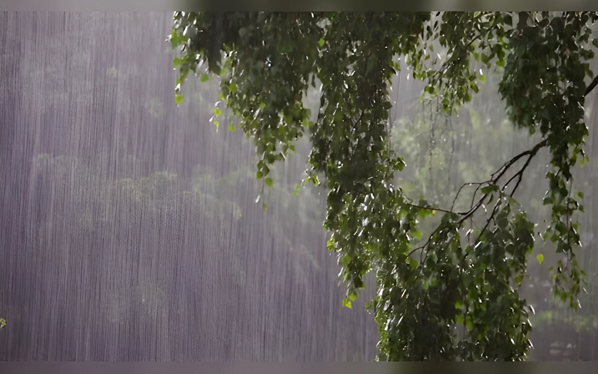 Pre-Monsoon Madness: Heavy Rain and Strong Winds Lash Delhi