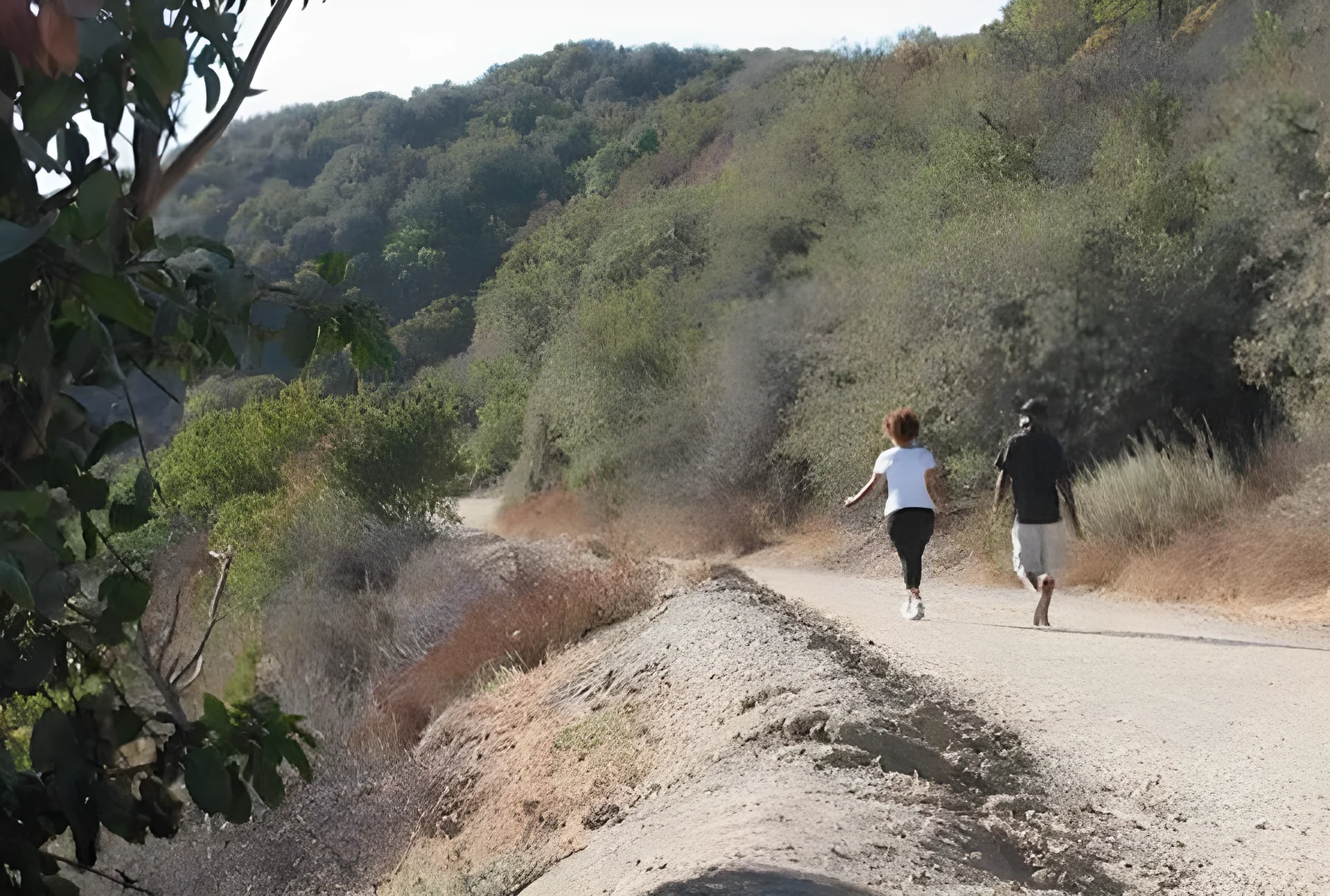 산타모니카 산맥 지역 산불 대응 기구 설립 검토