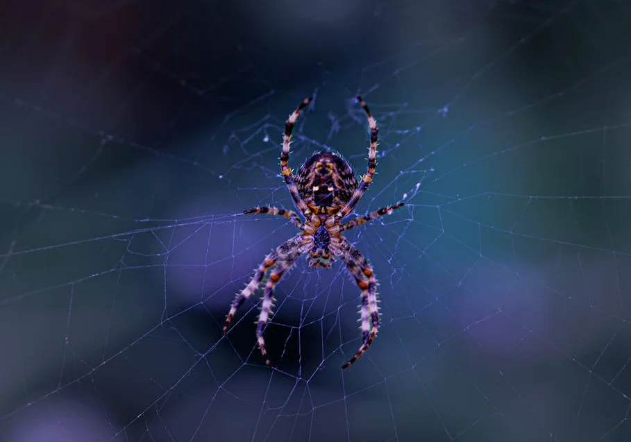 Tom Hardy Not in New Peaky Blinders Movie The Immortal Man