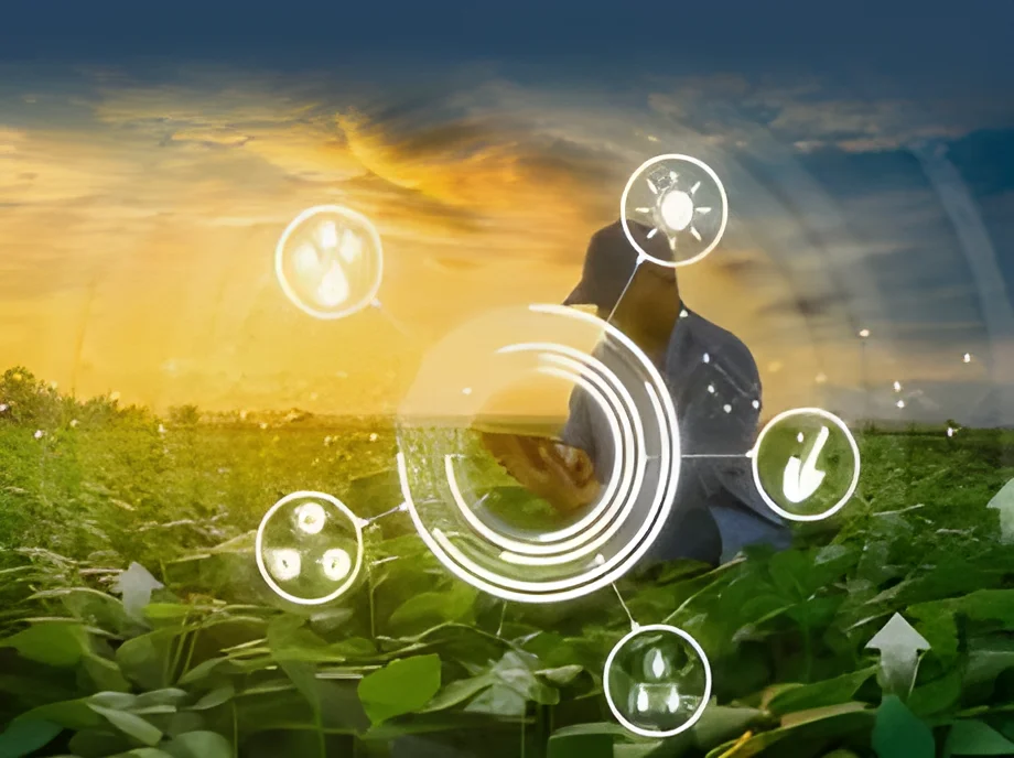 New Zealand, Ireland Unite to Advance Climate-Smart Agriculture