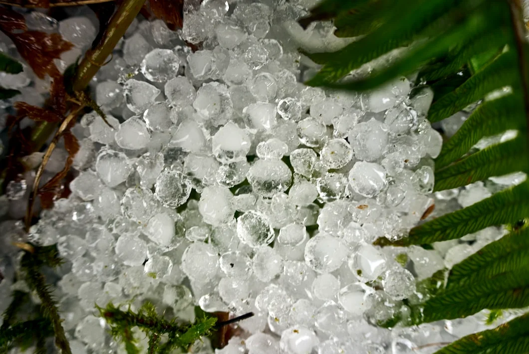 Tom Hardy Not in New Peaky Blinders Movie The Immortal Man