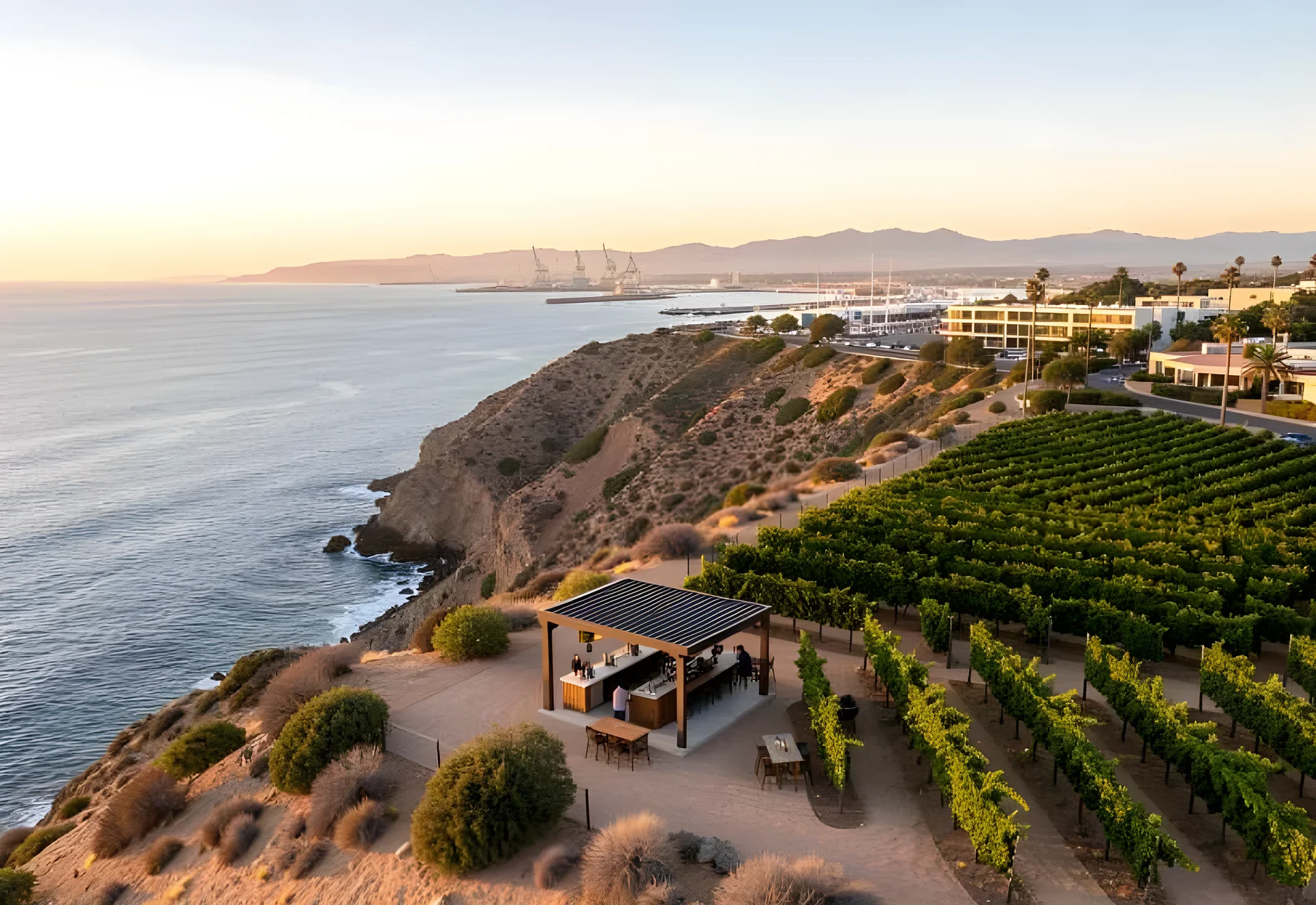 Baja California Tourism Stands Strong Amid Recent Security Challenges