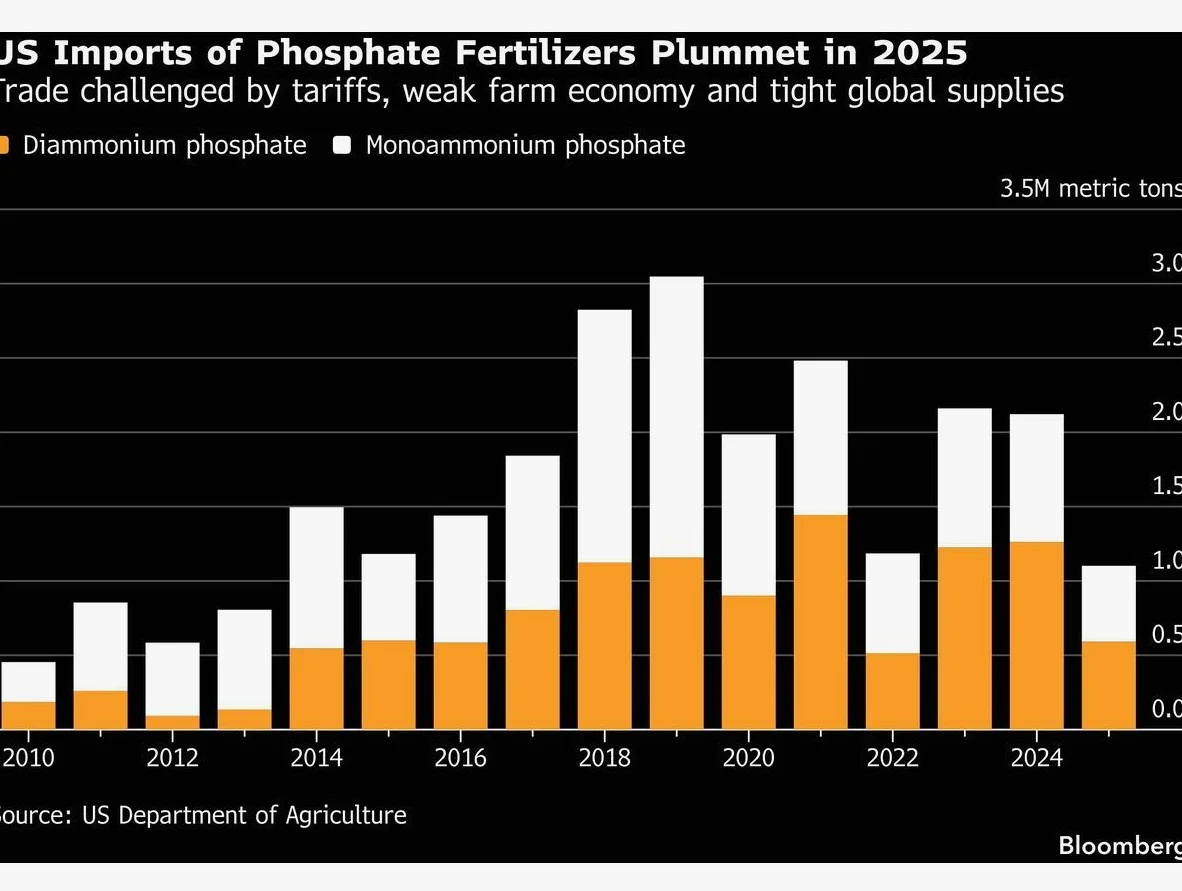 비료 시장 위기 심화…공급 차질 확대