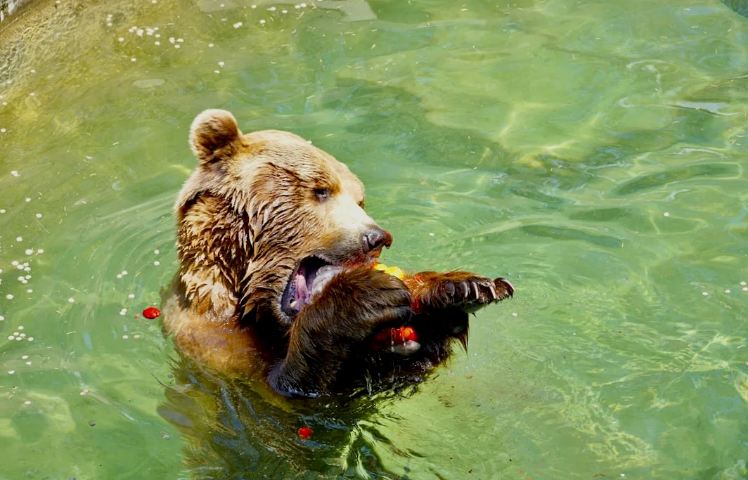 Gold Sinks Deeper Into Bear Market Territory as Sell-Off Extends