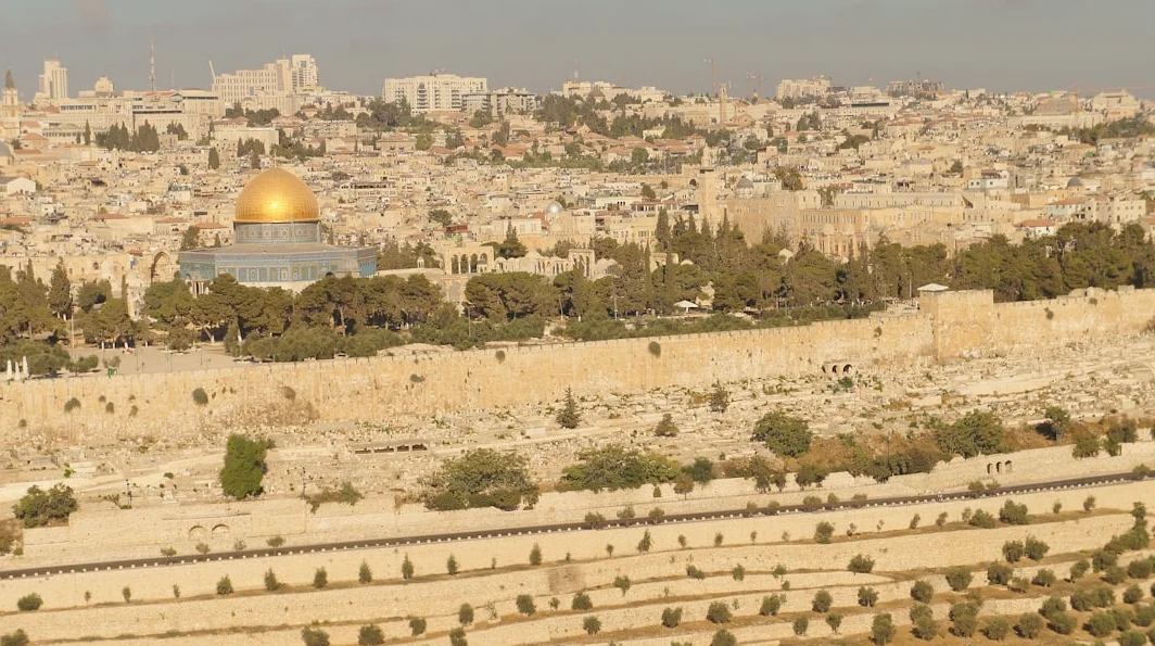 UN expert says world has given Israel 'licence to torture Palestinians'