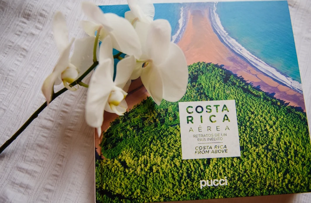 Costa Rica Accepts 25 Deportees Weekly Under Trump Deportation Push