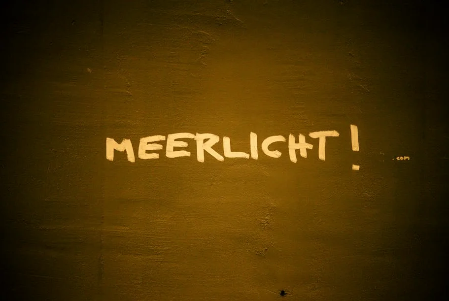 Morgen-Update: Trumps Rechtsstreit bleibt unerbittlich