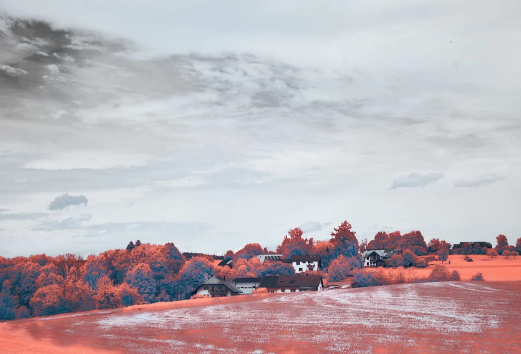 크리imson 디저트, 인텔 GPU 호환성 문제 발생