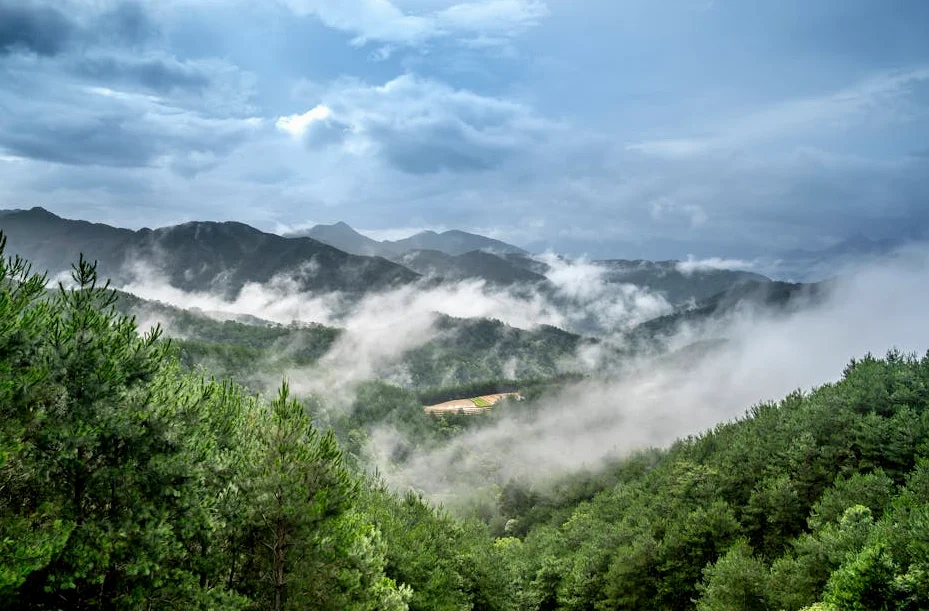 지구 기후 균형 붕괴…기록적 극단 기록