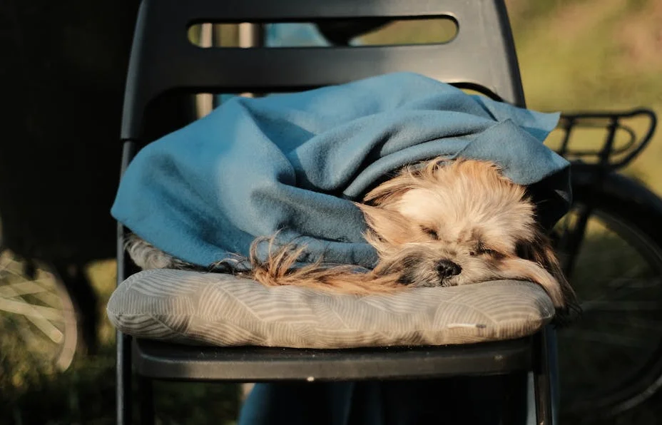 燃料価格高騰で生活コスト上昇、人々の不安も拡大