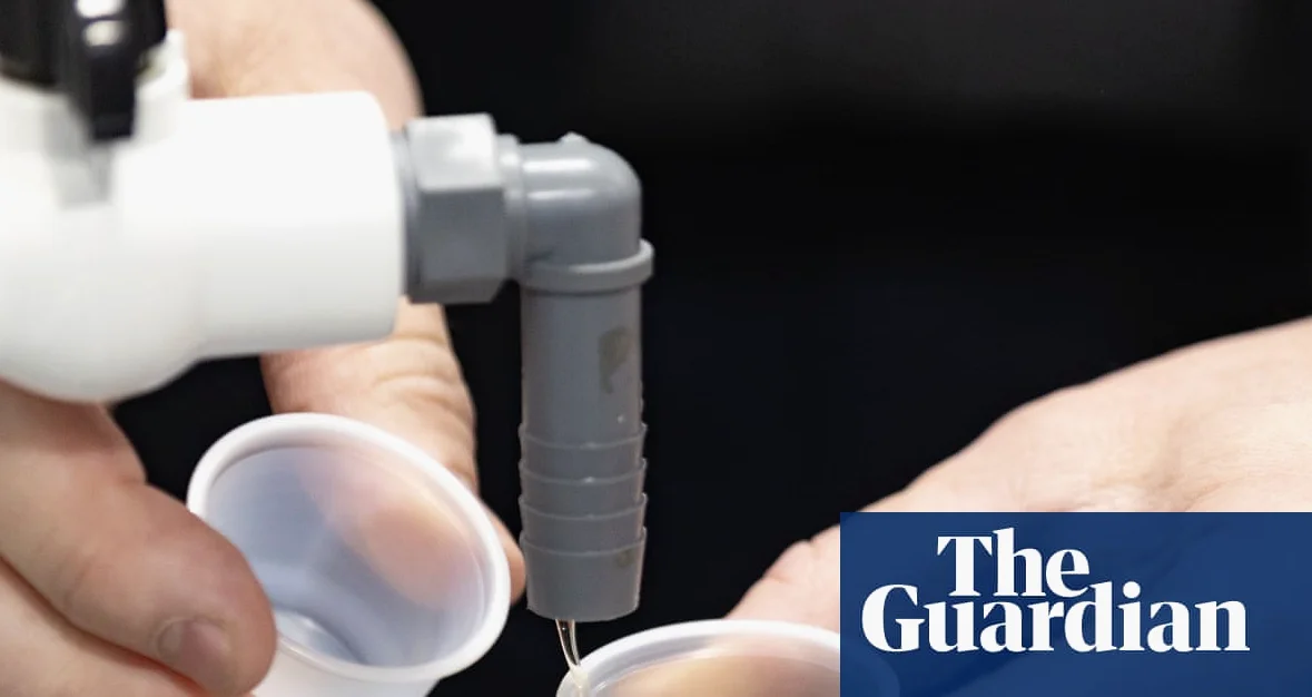 Descubren fraude con jarabe de arce en Quebec