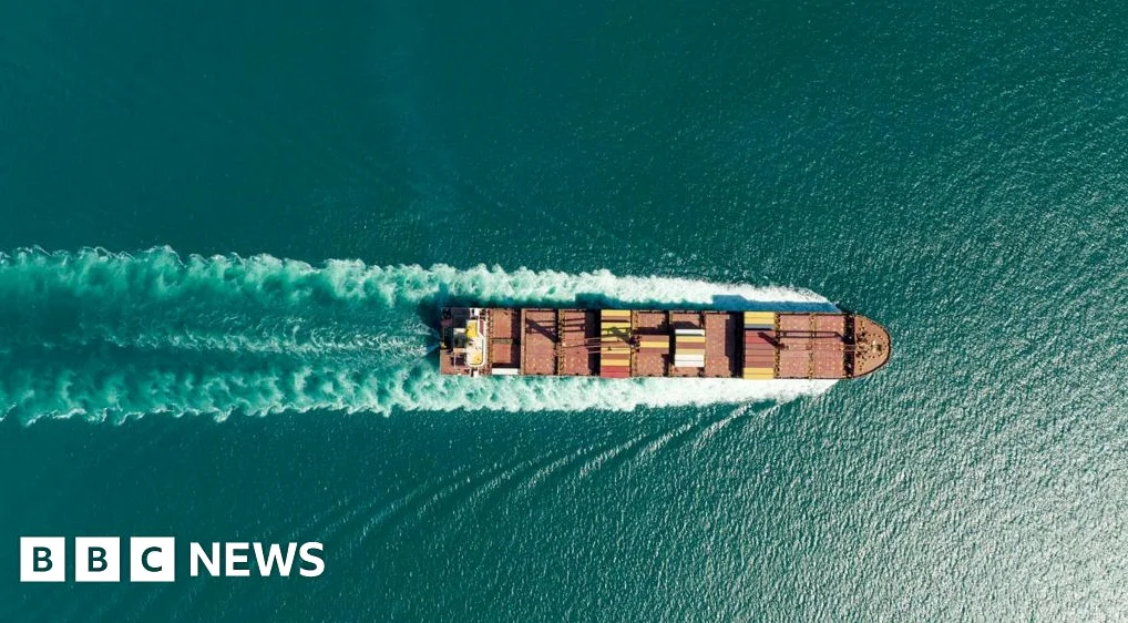 French-Owned Ship Passes Through Hormuz After Months of Closure