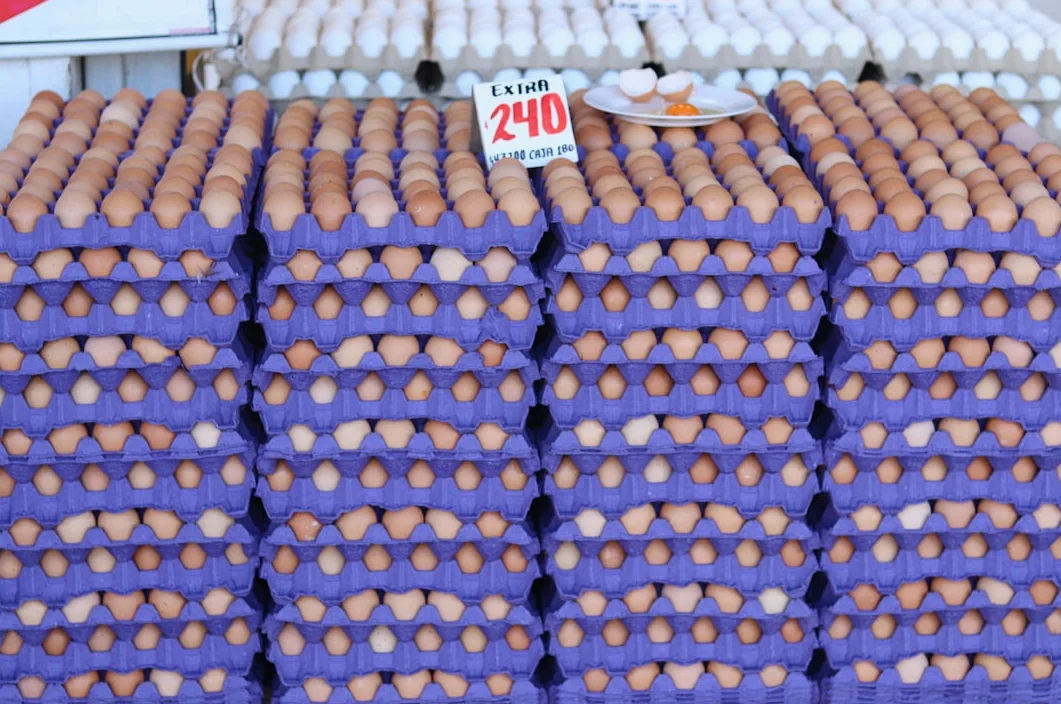 스위스, 부활절 달걀 50만 개 부족… 공급난 우려