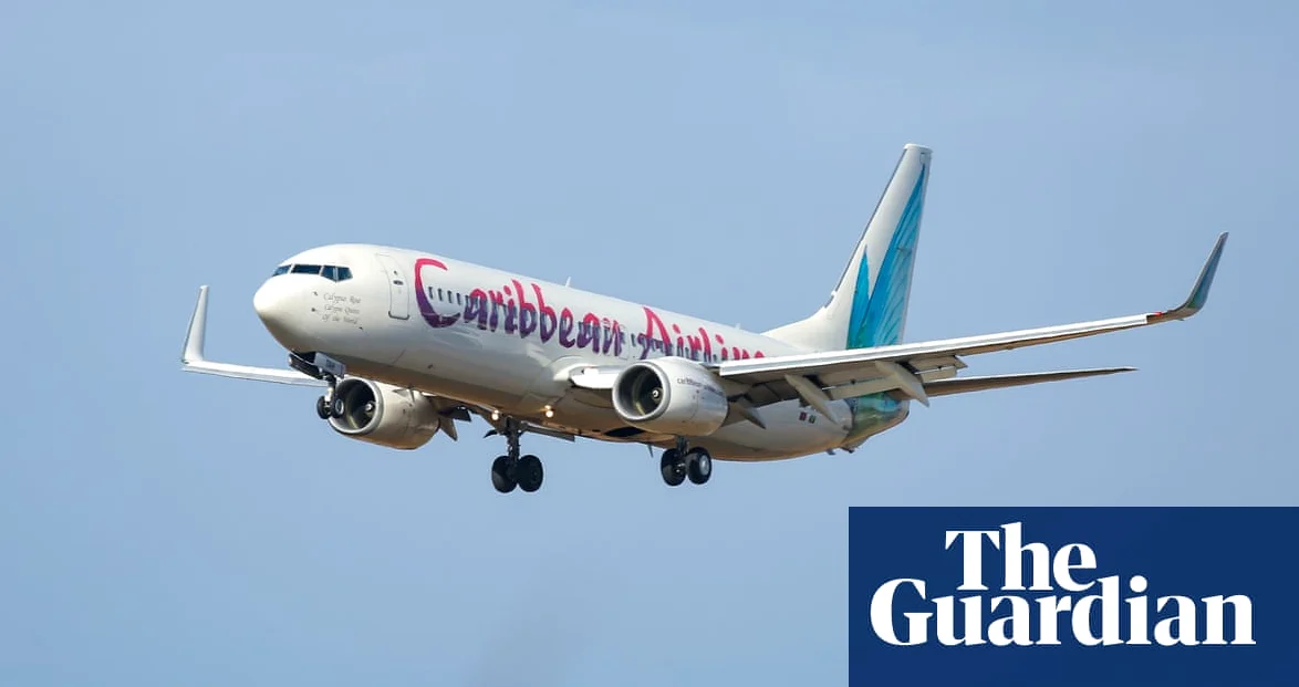 자메이카-뉴욕 항공편에서 태어난 신생아, 시민권 논란