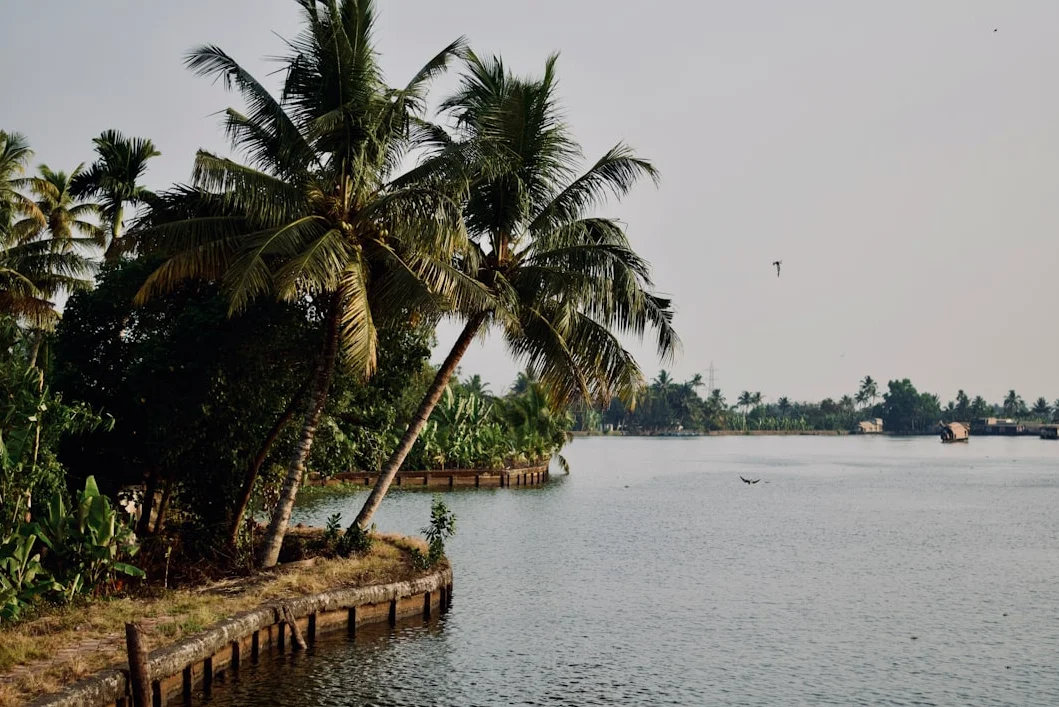 인도 아삼과 키프라 주, 의회 선거 시작