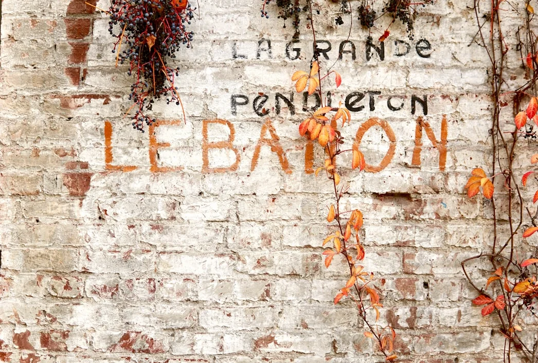 미국 부통령 반스, 레바논은 미국-이란 정전에 포함되지 않아