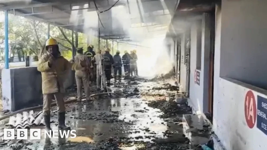 Al menos 25 muertos en explosión en fábrica de fuegos artificiales en India