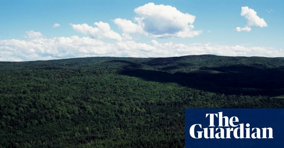 Judge strikes down Nova Scotia’s woods ban, citing 'commonsense' issues