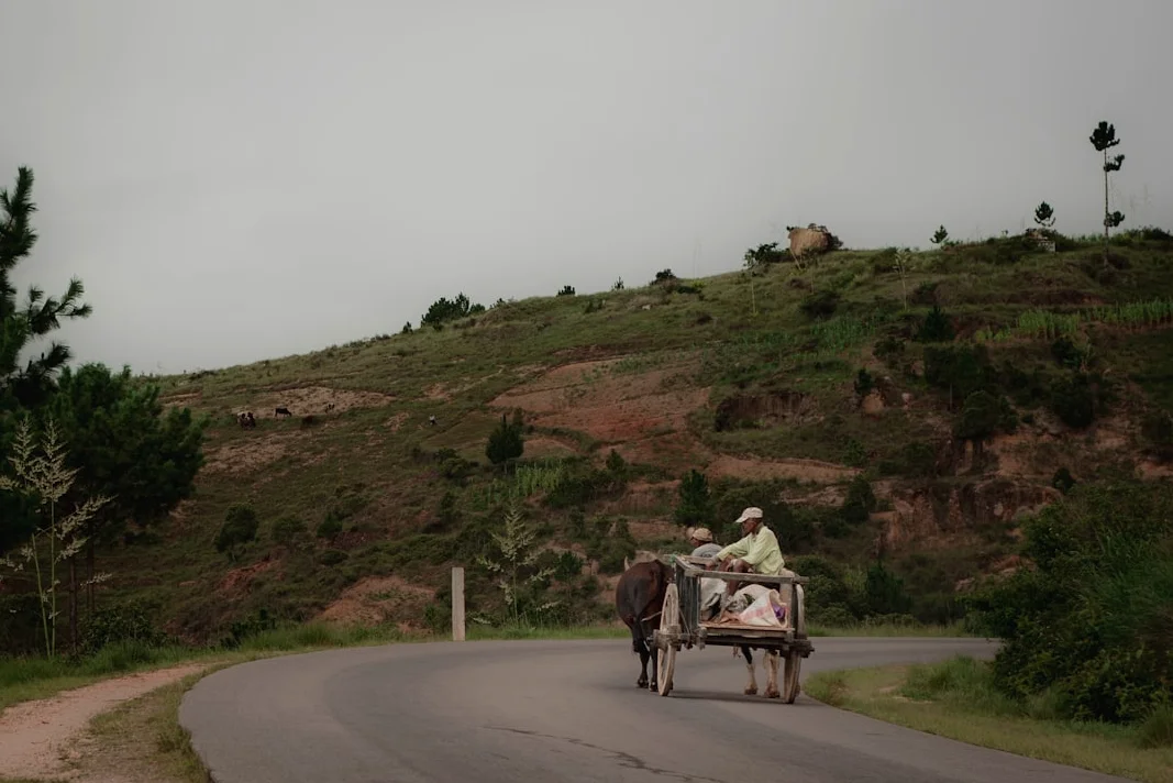 Madagascar Detains French Ex-Serviceman Over Alleged Destabilisation Plot