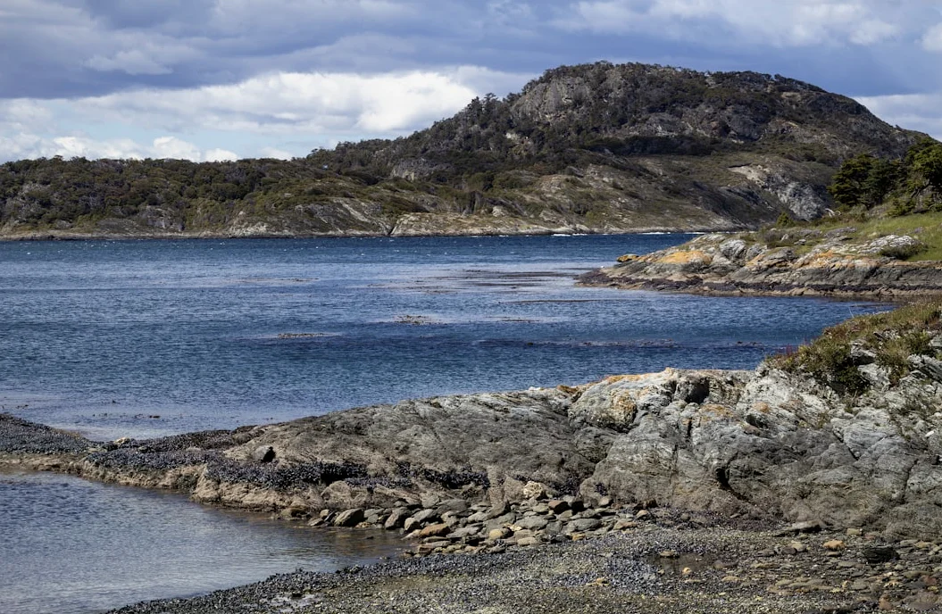 Milei Seeks Falklands Support via Trump Ties