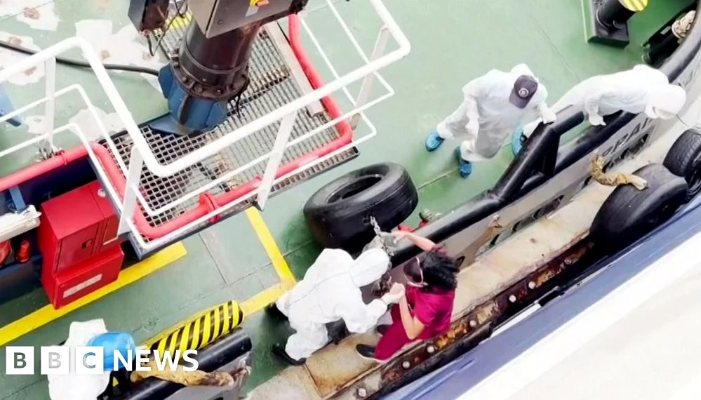 Hantavirus Spreads Among Cruise Ship Passengers, WHO Warns