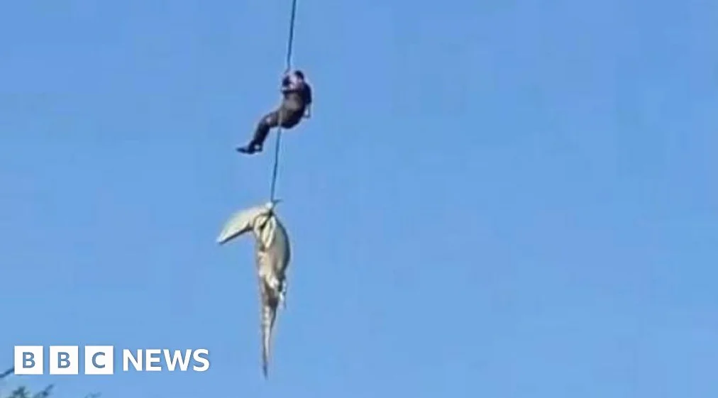 Officer Describes Sticking to Plan to Retrieve Crocodile with Human Remains
