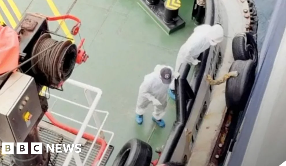 Hantavirus Strain Spreads Between Humans on Dutch Cruise Ship