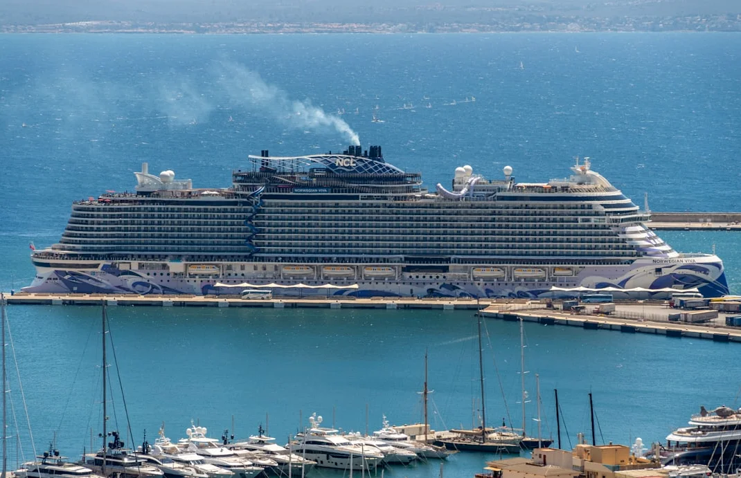 Brote de hantavirus en crucero afecta a pasajeros de 5 países
