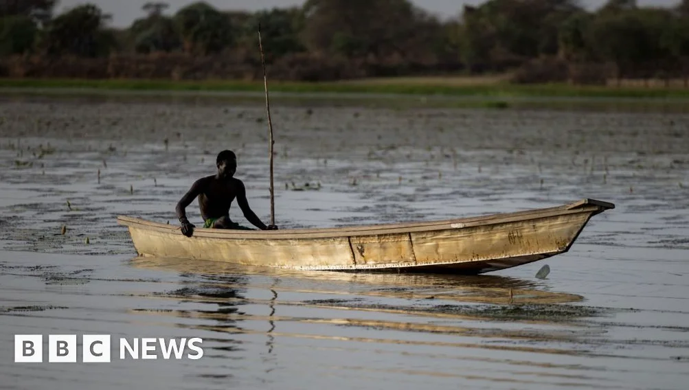 Dozens of Nigerian Fishermen Feared Dead in Chad Air Strikes