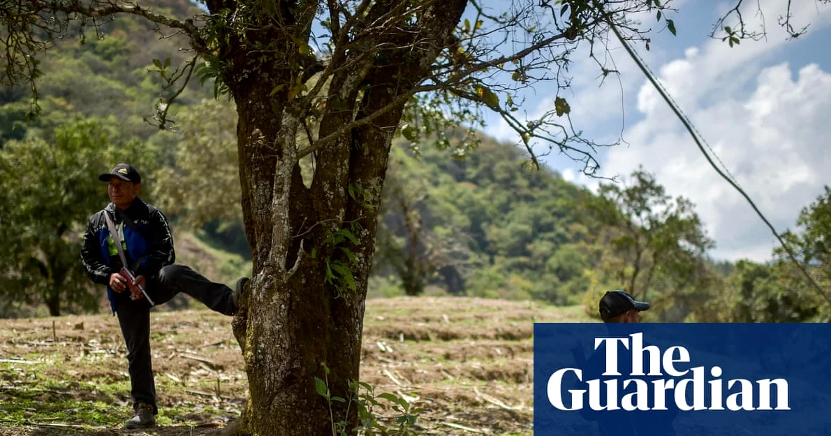 Drug Gang Attacks Force Hundreds of Indigenous Families to Flee in Mexico