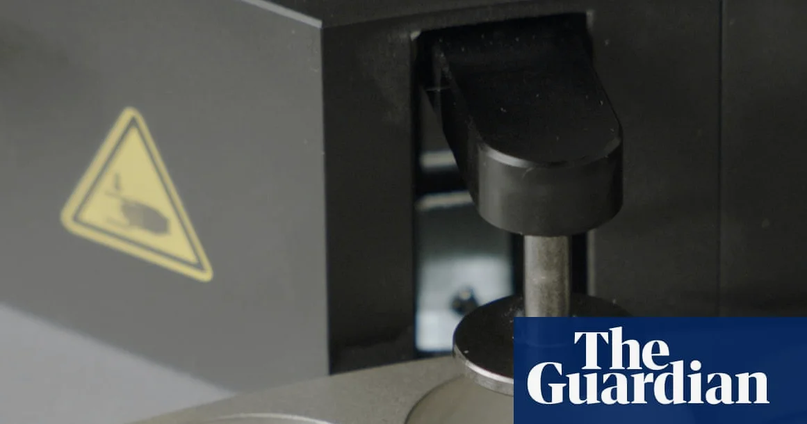 Daily Pill Helps Keep 70% Weight Loss After Jabs, Trial Shows