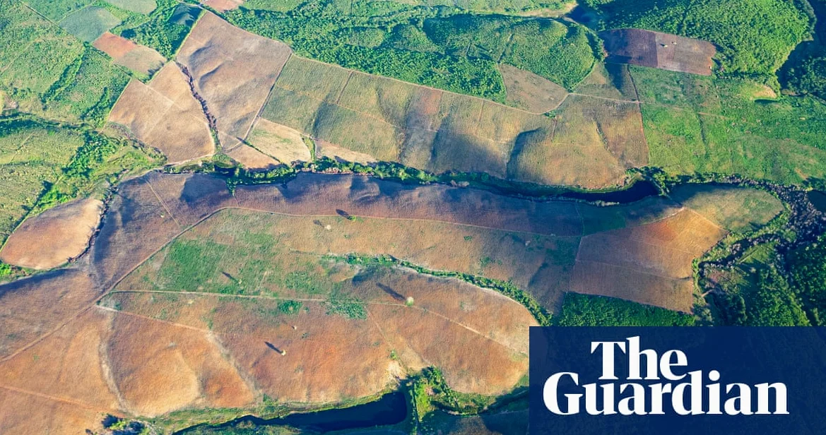 Brazil’s Atlantic Forest Deforestation Hits 40-Year Low