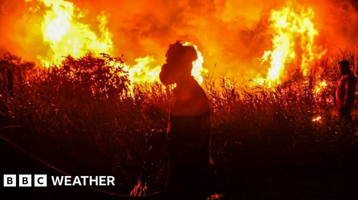 Rekordhoch: Warnung vor stärkstem El Niño