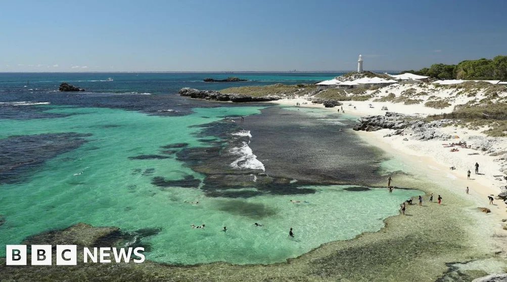 Man killed by 13ft great white shark in Western Australia