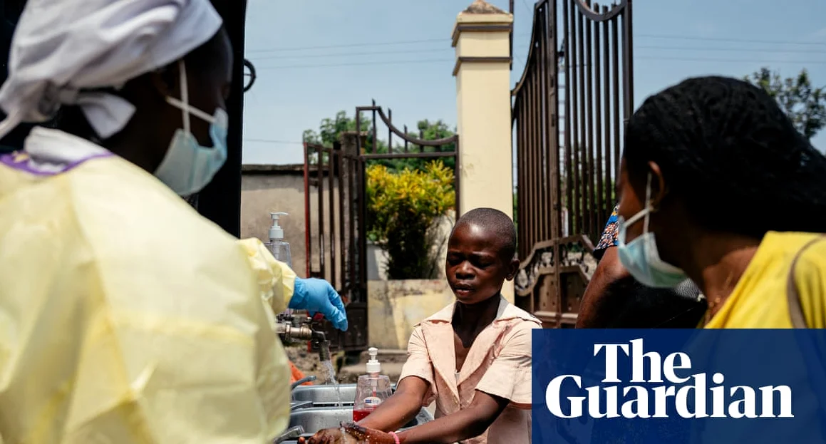 Infectious diseases such as hantavirus and Ebola becoming more frequent and damaging, say experts