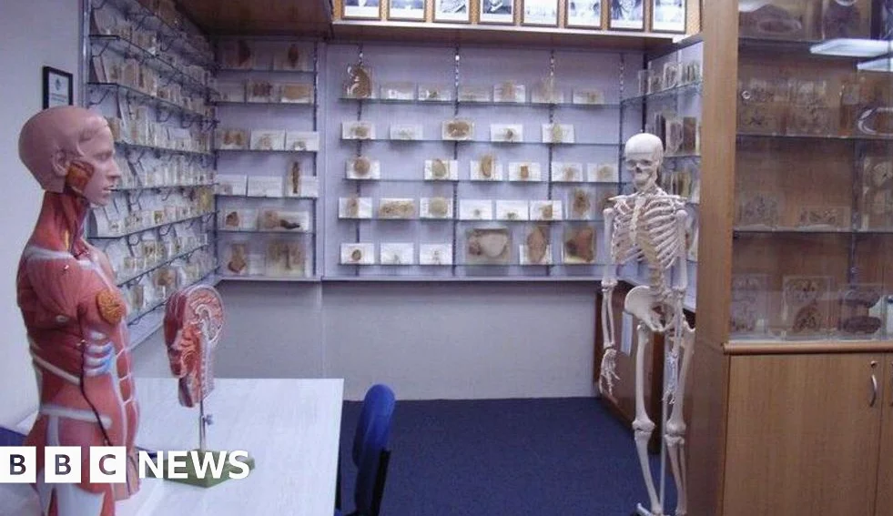 Tasmanian Government Apologizes for Stolen Body Parts Scandal