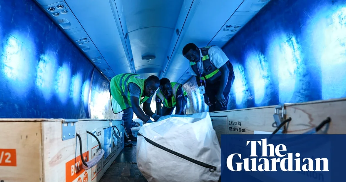 US Doctor Contracted Ebola in DRC Flown to Germany