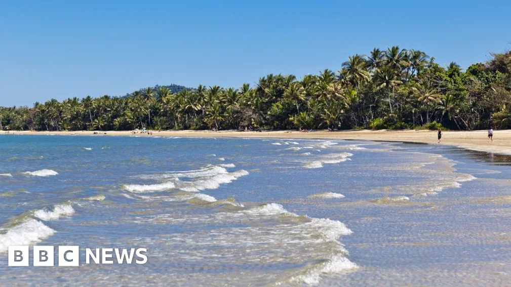 Man killed in shark attack off Australia’s north-east coast