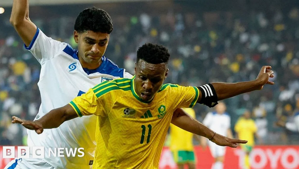 南アフリカサッカー協会、ビザ問題で批判
