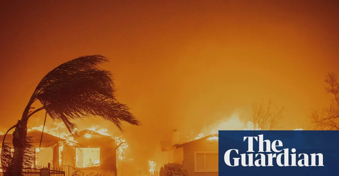 Wildfires devastate richer areas despite fewer hectares burned globally