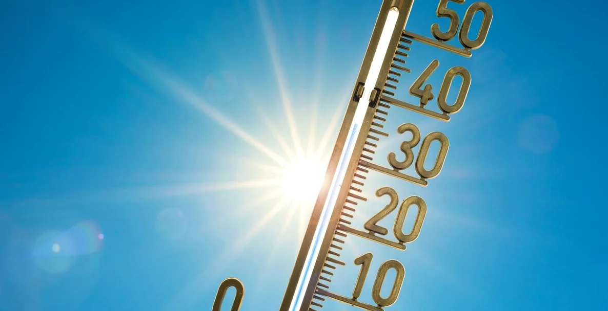 Schafskälte 2026: Kälte, Regen und Bauernregeln
