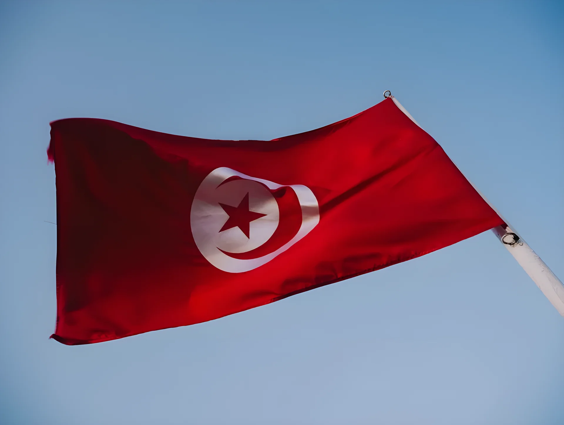 스웨덴, 튀니지에 5-1 완승…월드컵 강한 출발