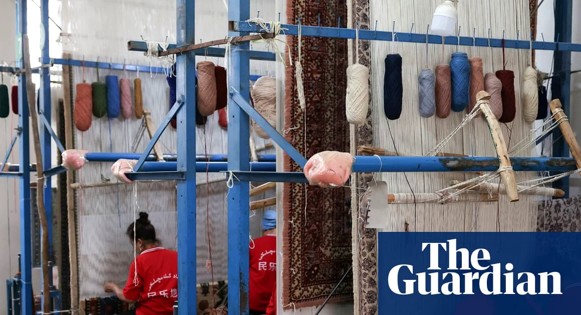 Canada Eliminates Human Rights Watchdog for Overseas Companies