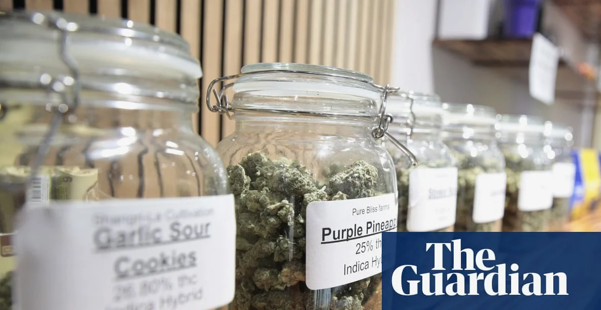 Cannabis Commercialisation, Not Decriminalisation, Drives Usage: Study